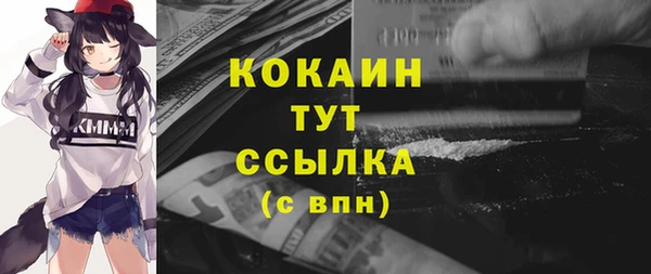 МДПВ Абаза