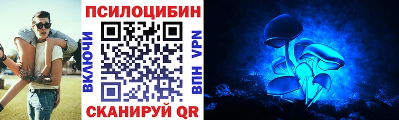 OMG   цена наркотик  Нариманов  Галлюциногенные грибы прущие грибы 